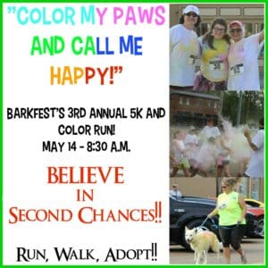 Color Run