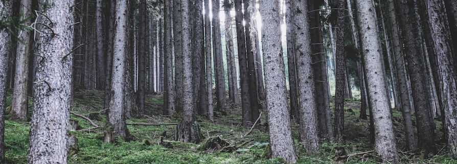 Wildlife & Outdoor Expo