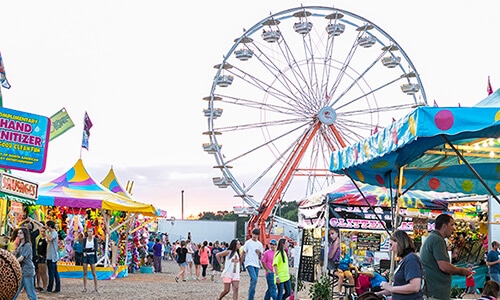 2019 Mississippi Spring Fair