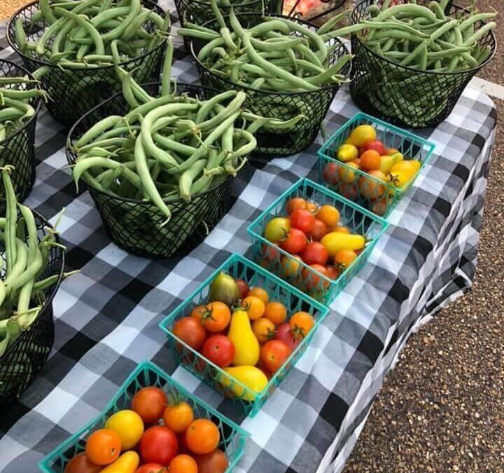 Summer Farmers Market