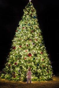 Brookhaven blog post 1